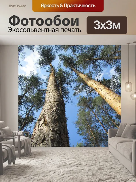 Фотообои Сосна