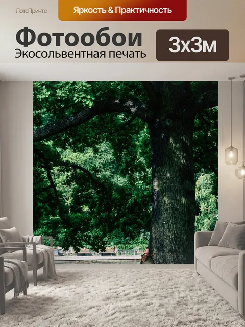 Фотообои Дерево