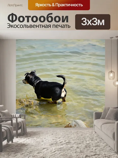 Фотообои Собаки