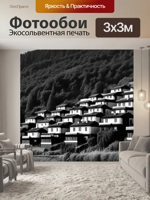 Фотообои красивый пейзаж с домами чернобелый