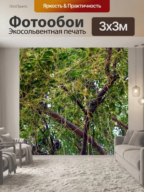 Фотообои Запутался
