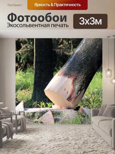 Фотообои Дерево