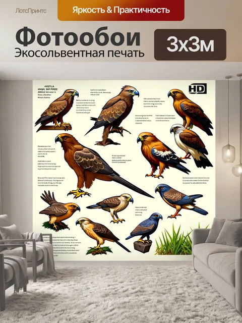 Фотообои животные в стиле инфографический рисунок с изображением охотничьих птиц и их habitats