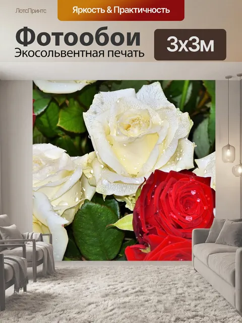 Фотообои Розы