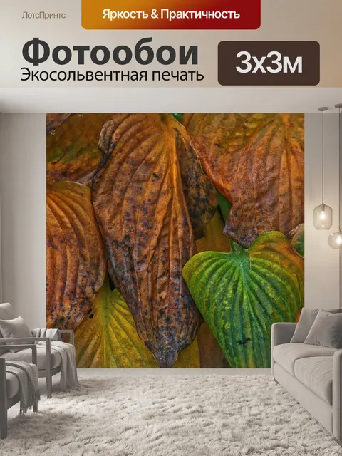Фотообои Листья