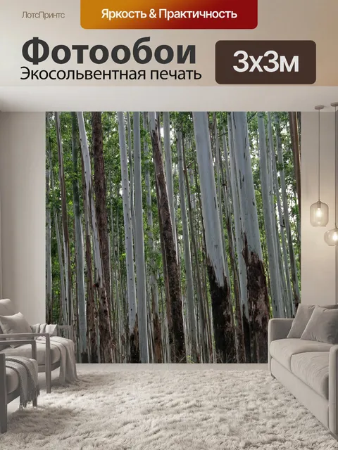 Фотообои Сундуки