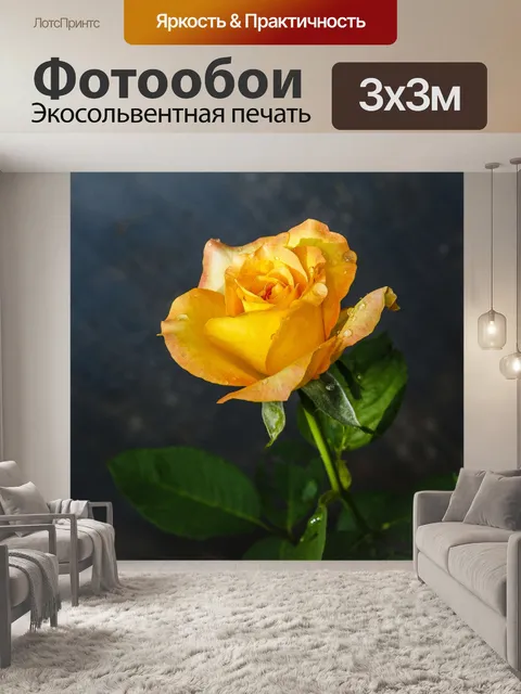 Фотообои Роза в саду