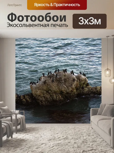 Фотообои Бакланы