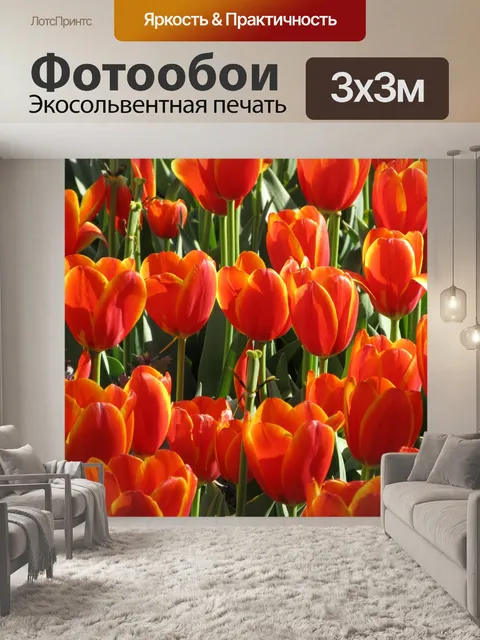 Фотообои Тюльпаны в цвету