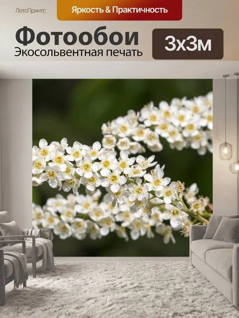 Фотообои Цветы