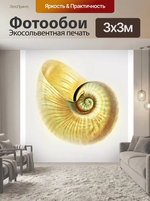 Фотообои Раковина улитка винтажное искусство