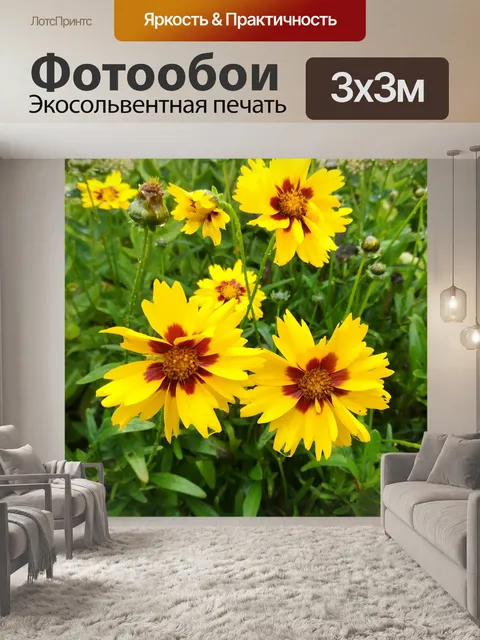 Фотообои Цветы