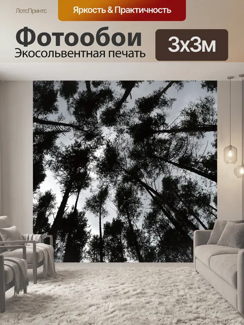 Фотообои Лес