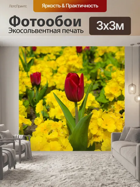 Фотообои Цветы