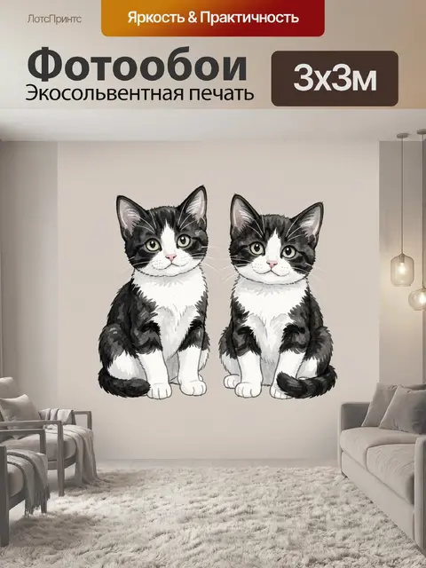 Фотообои Два черно-белых котенка