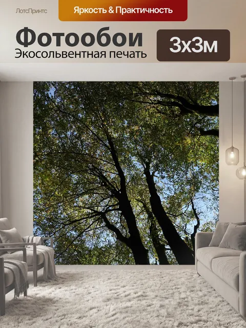 Фотообои Осень