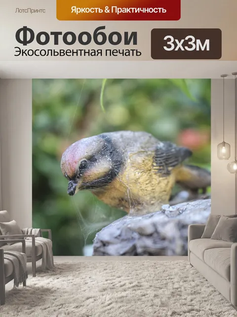 Фотообои Сад