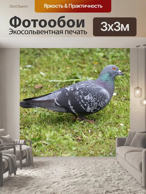 Фотообои Птица