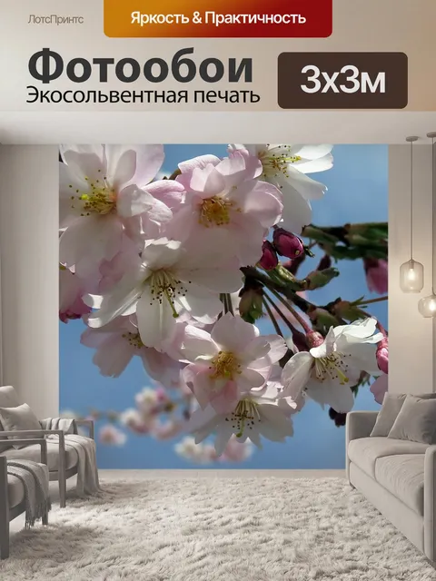 Фотообои Расцветает