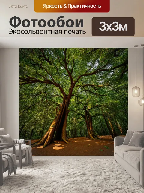 Фотообои лес с старинными деревьями, которые рассказывают истории