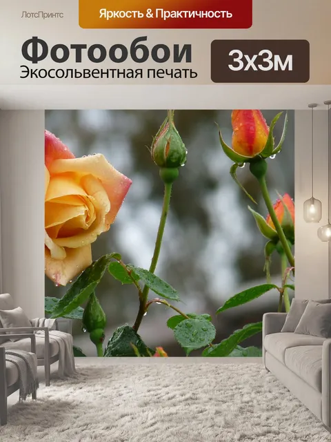 Фотообои Розы