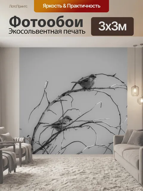 Фотообои Птицы