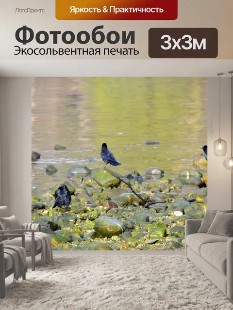 Фотообои вороны