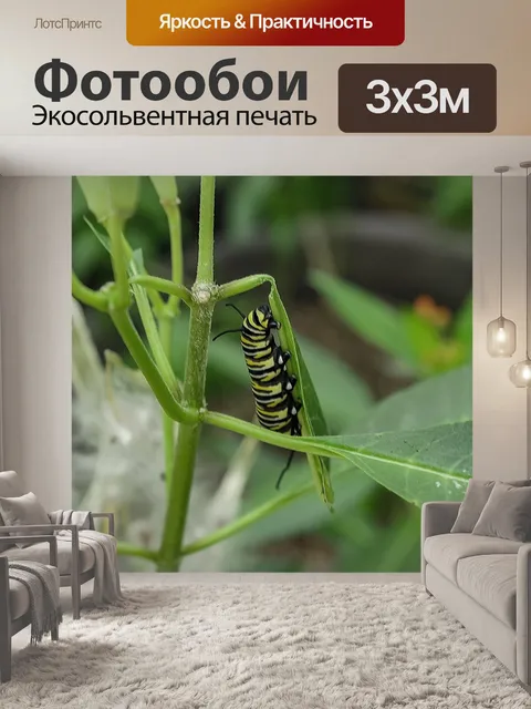 Фотообои Caterpillar