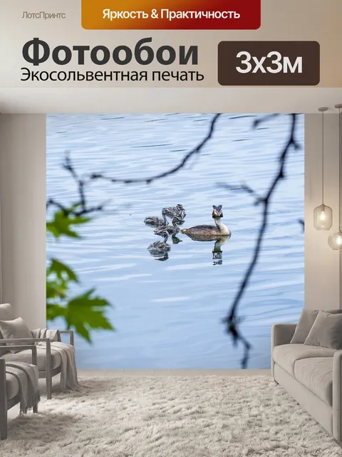 Фотообои Птицы