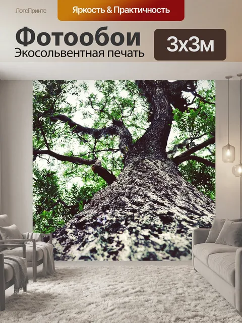 Фотообои Лес