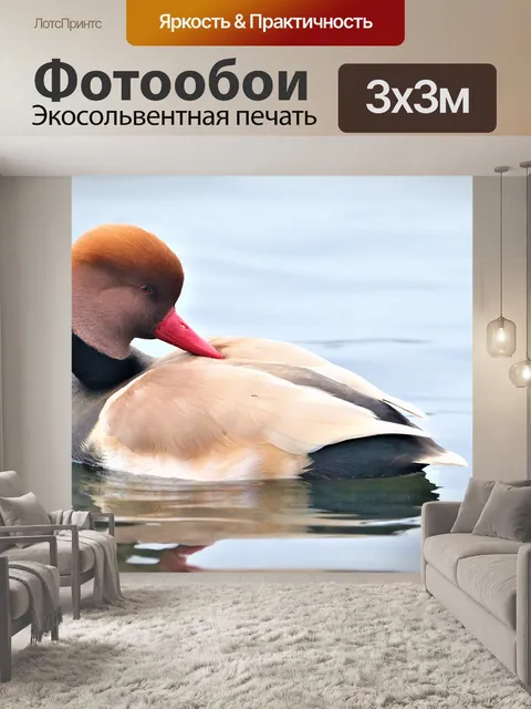 Фотообои Птица