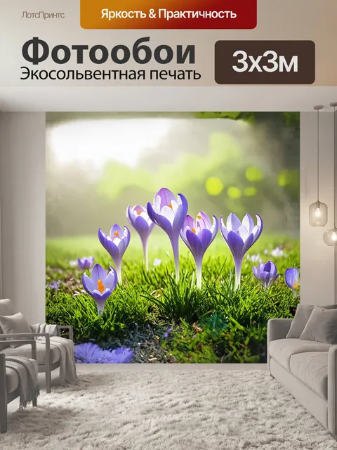 Фотообои группа крокусов, растущих в зелёной траве, создает живописный ковер, покрытый легким утренним туманом