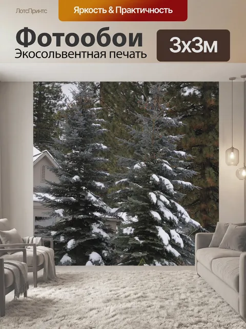 Фотообои Снежный Сосны