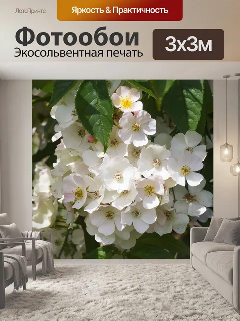 Фотообои Розы