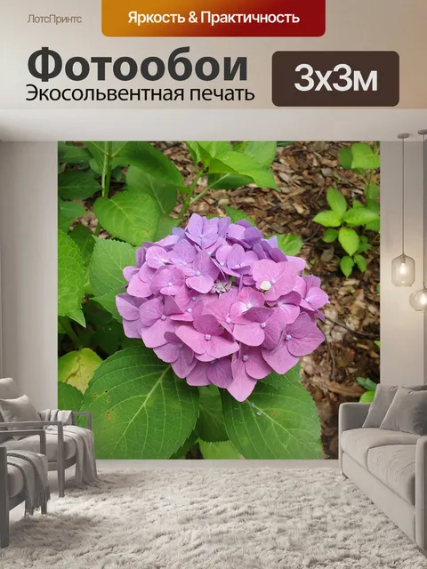 Фотообои Цветы