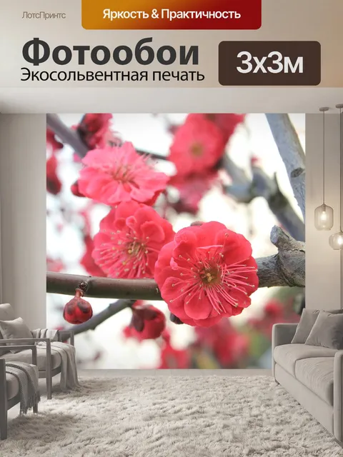 Фотообои Цветок сливы
