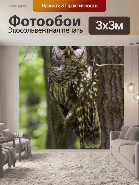 Фотообои Птица