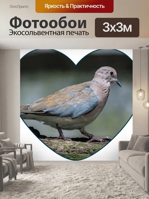 Фотообои Голубь в форме сердца