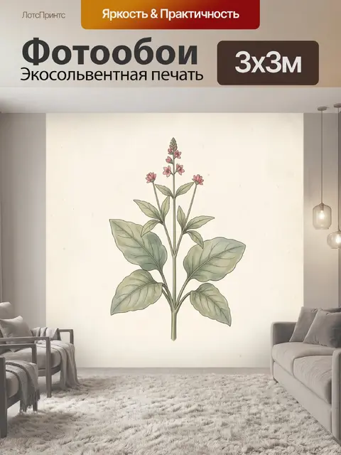 Фотообои Нежный луговой цветок