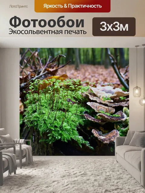 Фотообои Мох фрукт