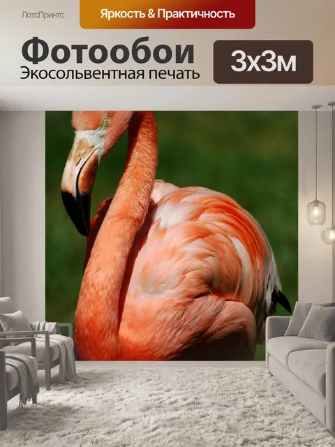 Фотообои Фламинго