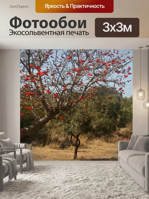 Фотообои ветвь кораллового дерева цветущий красны