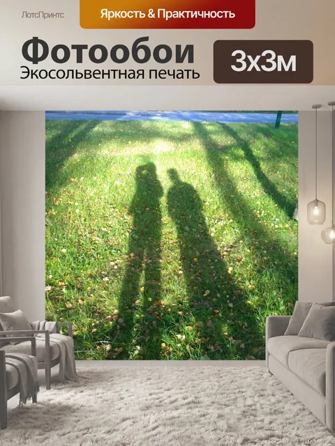 Фотообои Тень