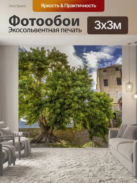 Фотообои Кальви, Корсика, Франция