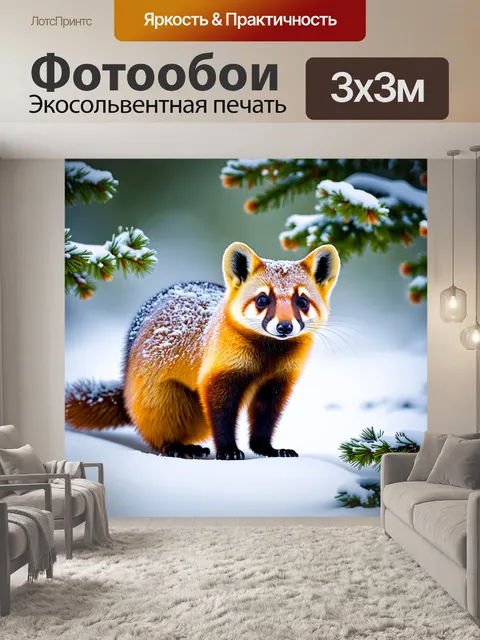 Фотообои фотография куницы в морозное утро