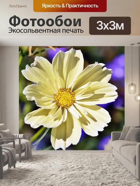 Фотообои Цветок Космоса