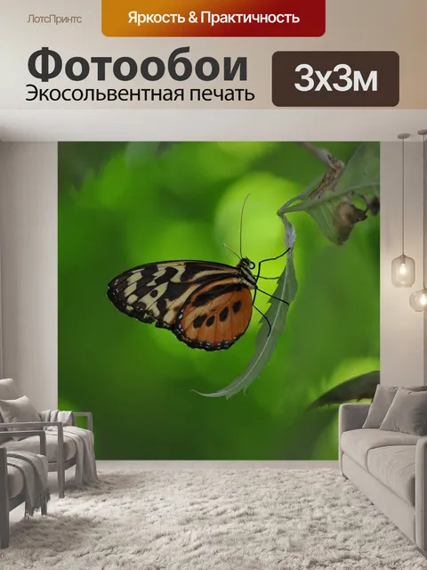 Фотообои Насекомые