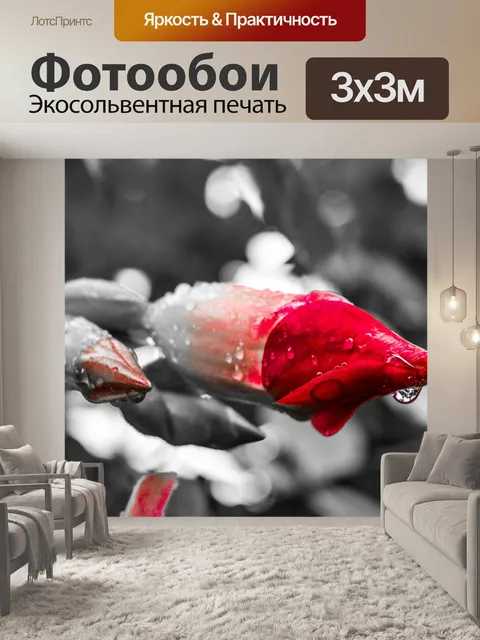 Фотообои Связка