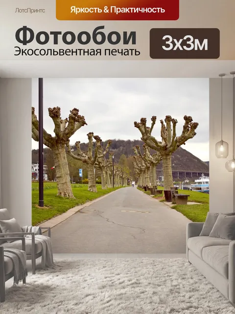 Фотообои Чинар