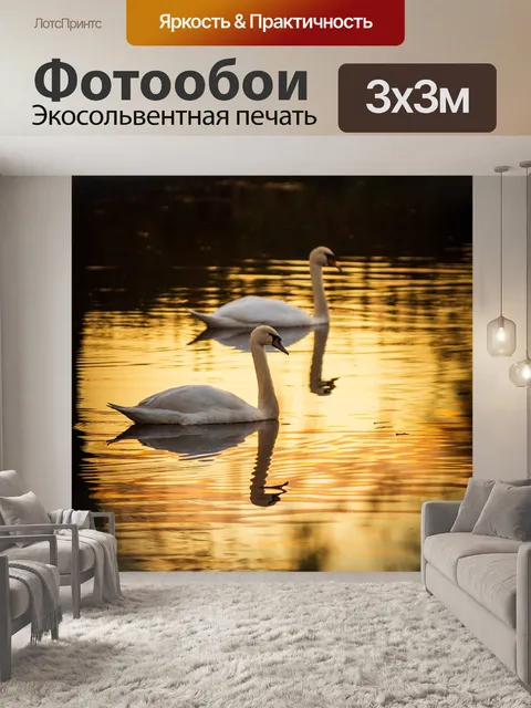 Фотообои Лебеди